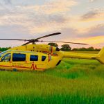 Helicopter in long grass